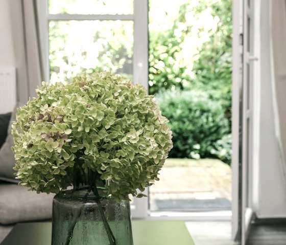 Blick aus dem Wohnzimmer Blick aus dem Wohnzimmer