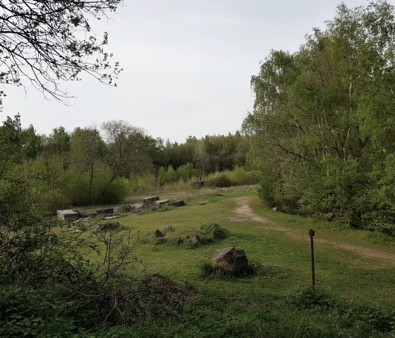 ausblick-aufs-mayener-grubenfeld ausblick-aufs-mayener-grubenfeld