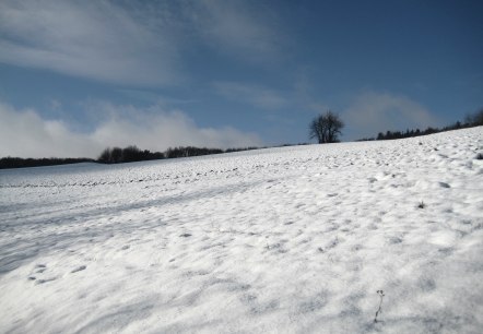 Wintersport in Arft, © Svenja Schulze-Entrup Wintersport in Arft