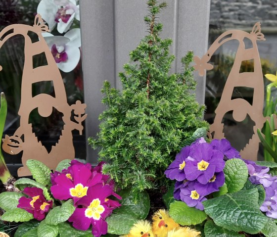 Frühling am Gästehaus Frühling am Gästehaus