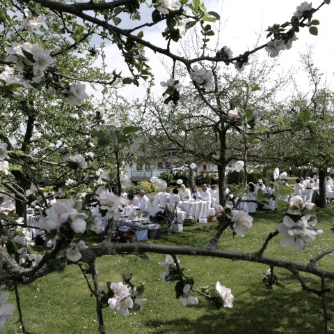 Äppelblötefest Plakat, © T. Hamann Äppelblötefest Plakat, © T. Hamann