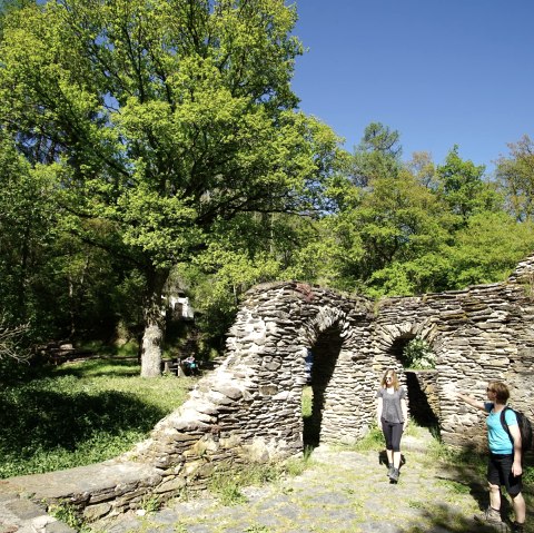 Wanderer an der Klosterruine Mädburg bei Kehrig auf dem Schieferwanderweg Route 2, © Touristik-Büro Vordereifel/ Laura Rinneburger Wanderer an der Klosterruine Mädburg bei Kehrig auf dem Schieferwanderweg Route 2