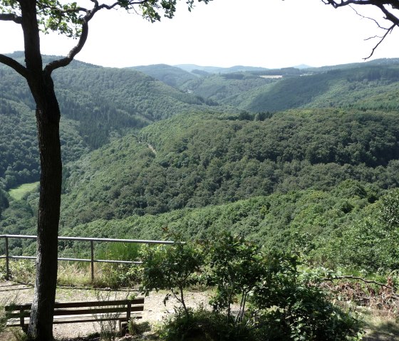 Ausblick vom Nitzblick, © Foto: Laura Rinneburger, Quelle: Touristik-Büro Vordereifel Ausblick vom Nitzblick, © Foto: Laura Rinneburger, Quelle: Touristik-Büro Vordereifel