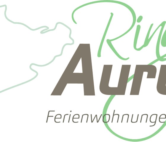 Logo_Aurum Logo_Aurum