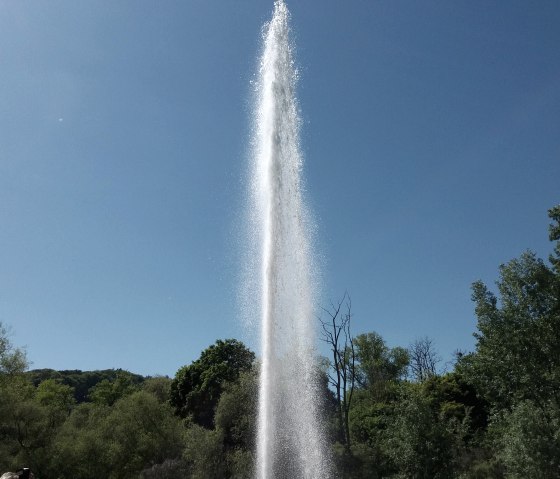 Gysir, Andernach Gysir, Andernach