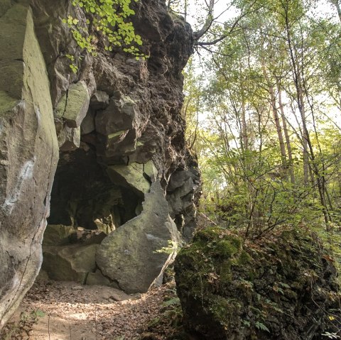 Winfeld de Kottenheim, © Laura Rinneburger Winfeld de Kottenheim, © Laura Rinneburger