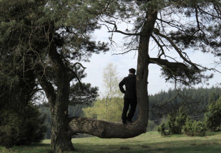 Unterwegs auf dem Traumpfad Bergeheidenweg, © Foto: Svenja Schulze-Entrup, Quelle: Touristik-Büro Vordereifel Unterwegs auf dem Traumpfad Bergeheidenweg, © Foto: Svenja Schulze-Entrup, Quelle: Touristik-Büro Vordereifel