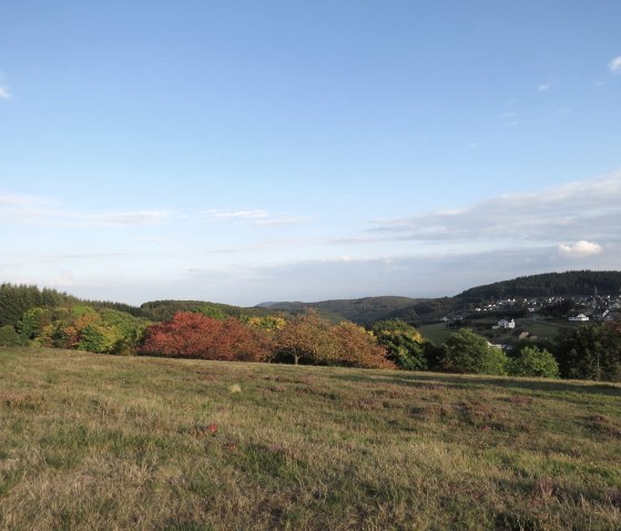 Paysage automnal avec des arbres colorés et un village au loin sous un ciel bleu et clair., © Svenja Schulze-Entrup Paysage automnal avec des arbres colorés et un village au loin sous un ciel bleu et clair., © Svenja Schulze-Entrup