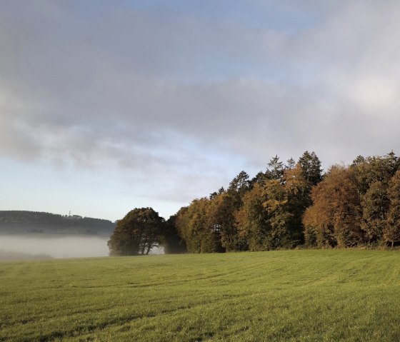 Umgebung im Herbst Umgebung im Herbst