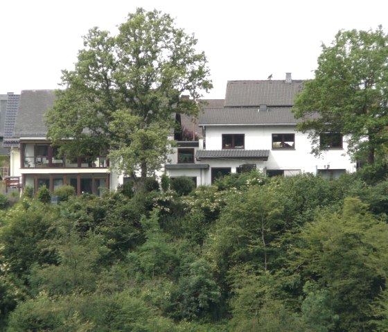 Virneburg_1106_005 Virneburg_1106_005