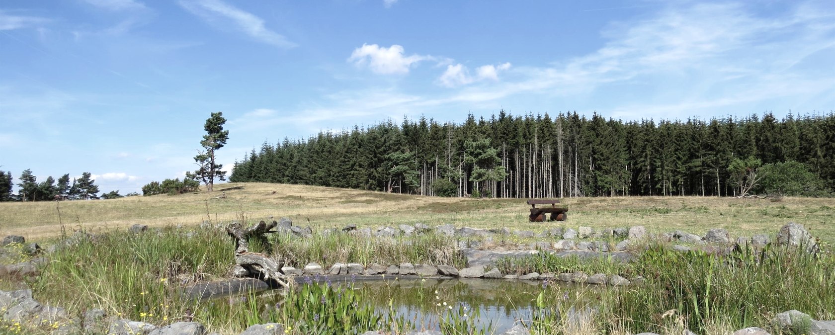 The "heathland pond" on the Kindgen, © Foto: Svenja Schulze-Entrup, Quelle: Touristik-Büro Vordereifel The "heathland pond" on the Kindgen, © Foto: Svenja Schulze-Entrup, Quelle: Touristik-Büro Vordereifel