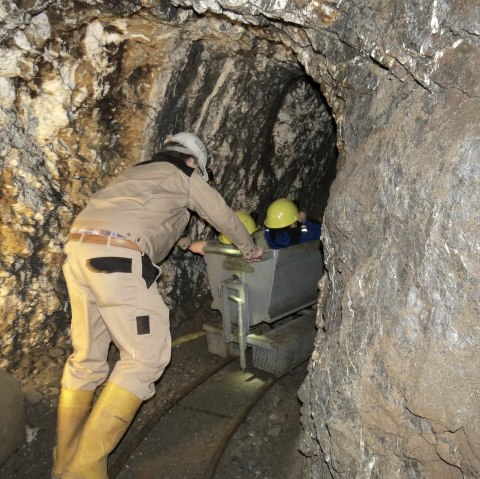 Lorenfahrt, © Svenja Schulze-Entrup Lorenfahrt, © Svenja Schulze-Entrup