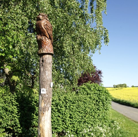 Wiesbachtalweg à Weiler/ Eifel, © Laura Rinneburger Wiesbachtalweg à Weiler/ Eifel, © Laura Rinneburger