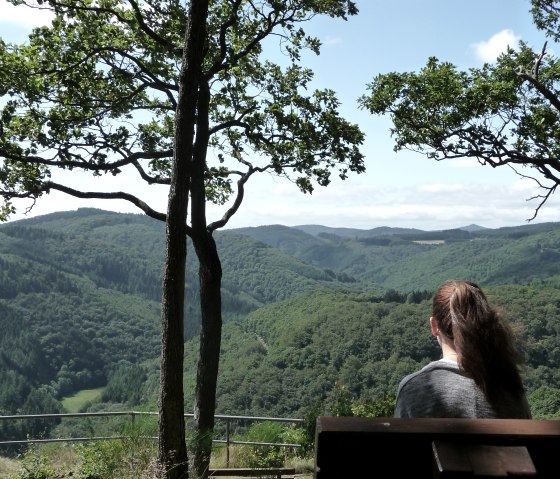 Uitzicht vanaf de Nitzblick in de zomer, © Laura Rinneburger Uitzicht vanaf de Nitzblick in de zomer, © Laura Rinneburger