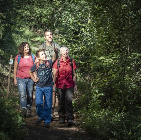 Eine Gruppe von vier Personen wandert fröhlich auf einem Waldweg. Sie tragen Rucksäcke und genießen die Natur., © Kappest_Remet Eine Gruppe von vier Personen wandert fröhlich auf einem Waldweg. Sie tragen Rucksäcke und genießen die Natur., © Kappest_Remet