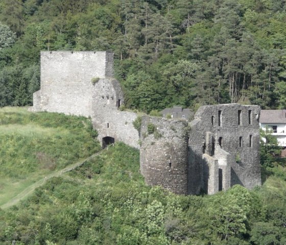 Virneburg_1106_068 Virneburg_1106_068