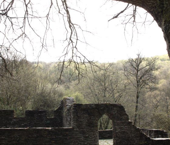 Blick über die Klosteruine, © Laura Rinneburger Blick über die Klosteruine, © Laura Rinneburger