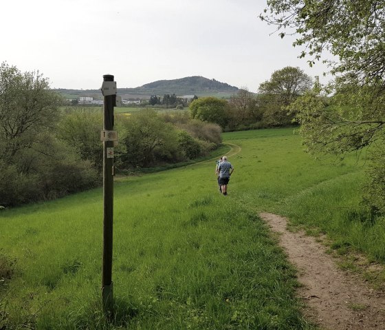 muehlsteinwanderweg-hinab-zur-ettringer-lay muehlsteinwanderweg-hinab-zur-ettringer-lay
