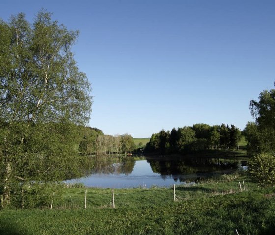 Grüne Landschaft mit einem See, umgeben von Bäumen und Wiesen. Der Himmel ist klar und blau., © Laura Rinneburger, Touristik-Büro Vordereifel Grüne Landschaft mit einem See, umgeben von Bäumen und Wiesen. Der Himmel ist klar und blau., © Laura Rinneburger, Touristik-Büro Vordereifel
