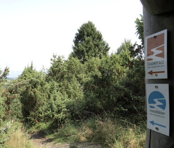 Le sentier des rêves et le petit sentier des rêves, © Foto: Svenja Schulze-Entrup, Quelle: Touristik-Büro Vordereifel Le sentier des rêves et le petit sentier des rêves, © Foto: Svenja Schulze-Entrup, Quelle: Touristik-Büro Vordereifel