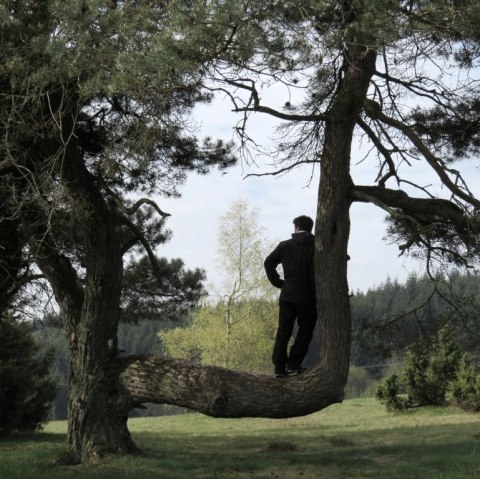 Unterwegs auf dem Traumpfad Bergeheidenweg, © Foto: Svenja Schulze-Entrup, Quelle: Touristik-Büro Vordereifel Unterwegs auf dem Traumpfad Bergeheidenweg, © Foto: Svenja Schulze-Entrup, Quelle: Touristik-Büro Vordereifel