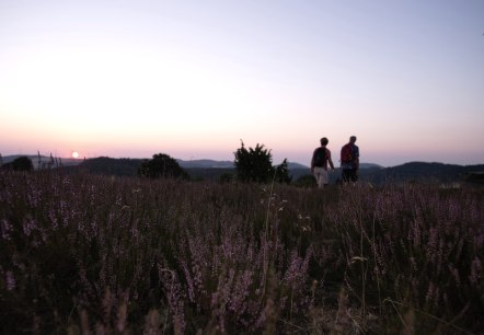Wanderer in der Wacholderheide in Langscheid bei Sonnenaufgang, © Laura Rinneburger Wanderer in der Wacholderheide in Langscheid bei Sonnenaufgang