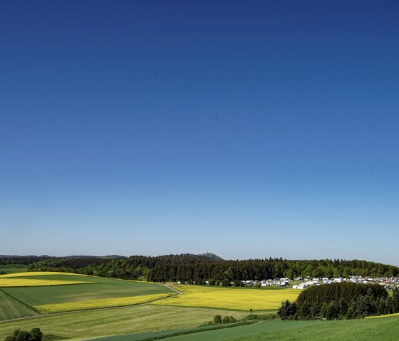 Vue lointaine sur les champs de colza avec la forêt et le ciel bleu, © Laura Rinneburger Vue lointaine sur les champs de colza avec la forêt et le ciel bleu, © Laura Rinneburger
