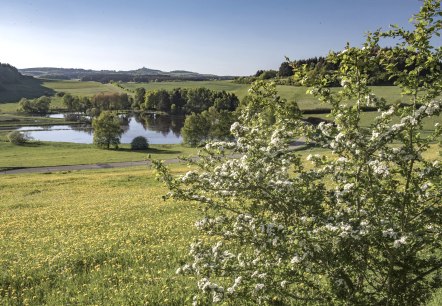 Traumpfädchen Eifelturmpfad Boos, © Klaus-Peter Kappest/REMET Traumpfädchen Eifelturmpfad Boos, © Klaus-Peter Kappest/REMET