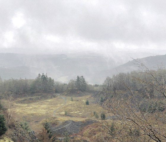 Haus_Schluesselblume_4_23-1web Haus_Schluesselblume_4_23-1web