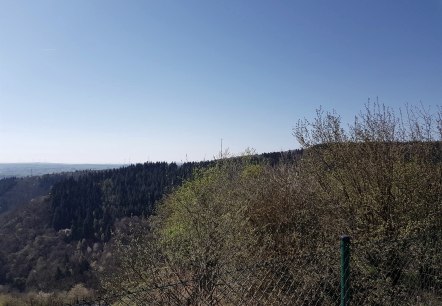 Plattform St. Johann 2, © Foto: Svenja Schulze-Entrup, Quelle: Touristik-Büro Vordereifel Plattform St. Johann 2, © Foto: Svenja Schulze-Entrup, Quelle: Touristik-Büro Vordereifel