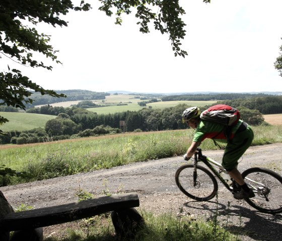 Mountain biker Eifel, © Schanze Communication Mountain biker Eifel, © Schanze Communication