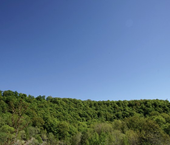 Een helderblauwe lucht strekt zich uit over een dicht, groen bos. De kleuren zijn intens en levendig., © Laura Rinneburger Een helderblauwe lucht strekt zich uit over een dicht, groen bos. De kleuren zijn intens en levendig., © Laura Rinneburger