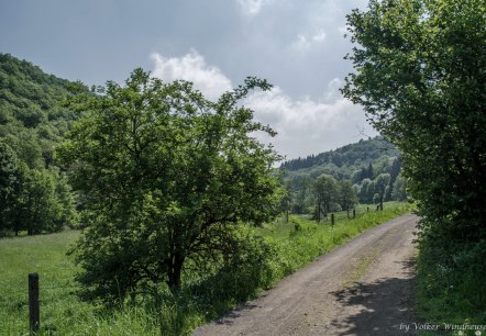 Vorbei an grünen Wiesen auf breiten Feldwegen, © Volker Windheuser Vorbei an grünen Wiesen auf breiten Feldwegen, © Volker Windheuser