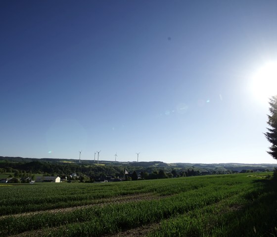 Wiesbachtalweg in Weiler/ Eifel, © Laura Rinneburger Wiesbachtalweg in Weiler/ Eifel, © Laura Rinneburger