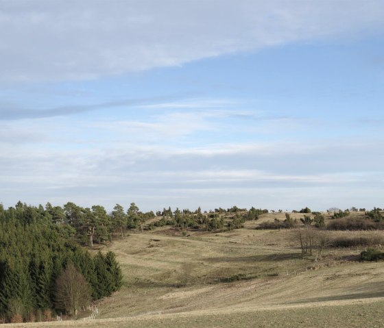 Vue sur la lande de genévriers, © Foto: Svenja Schulze-Entrup, Quelle: Touristik-Büro Vordereifel Vue sur la lande de genévriers, © Foto: Svenja Schulze-Entrup, Quelle: Touristik-Büro Vordereifel