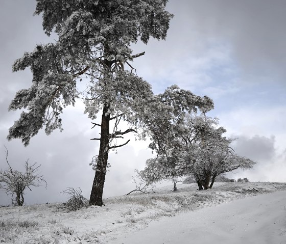 Umgebung im Winter Umgebung im Winter