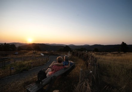 Sonnenaufgang auf dem Wabelsberg, © Foto: Laura Rinneburger, Quelle: Touristik-Büro Vordereifel Sonnenaufgang auf dem Wabelsberg, © Foto: Laura Rinneburger, Quelle: Touristik-Büro Vordereifel