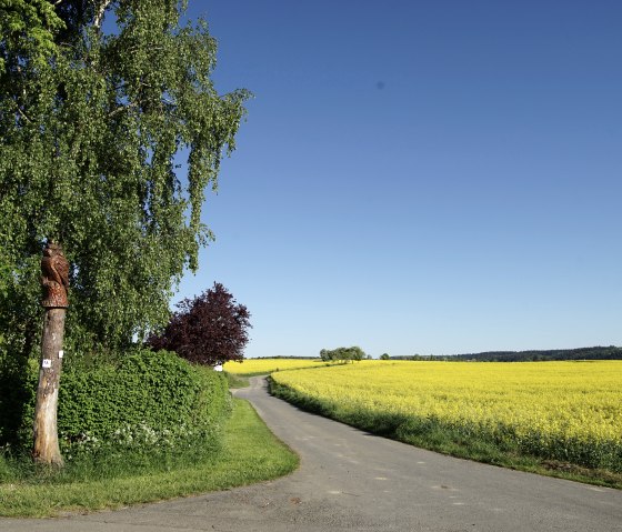 Wiesbachtalweg in Weiler/ Eifel, © Laura Rinneburger Wiesbachtalweg in Weiler/ Eifel, © Laura Rinneburger