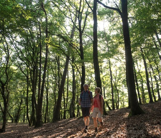 Op weg naar de Nitzblick, © Laura Rinneburger Op weg naar de Nitzblick, © Laura Rinneburger