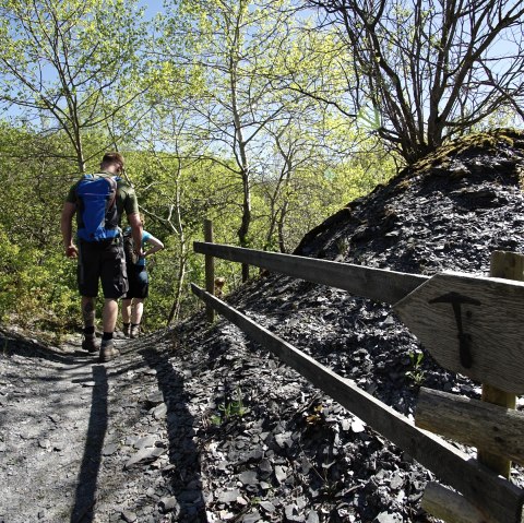 Two hikers on a narrow path in a slate landscape, surrounded by green trees and blue sky. A wooden sign shows the way., © Laura Rinneburger Two hikers on a narrow path in a slate landscape, surrounded by green trees and blue sky. A wooden sign shows the way., © Laura Rinneburger
