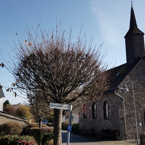 Die Ditscheider Kapelle, © Foto: Svenja Schulze-Entrup, Quelle: Touristik-Büro Vordereifel Die Ditscheider Kapelle, © Foto: Svenja Schulze-Entrup, Quelle: Touristik-Büro Vordereifel