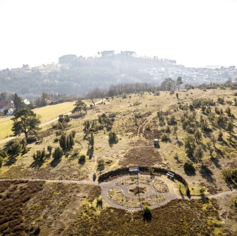 Blick auf eine hügelige Landschaft mit Bäumen und einem kleinen Labyrinth am Wanderweg Traumpfad Wacholderweg., © Eifel Tourismus GmbH, D. Ketz Blick auf eine hügelige Landschaft mit Bäumen und einem kleinen Labyrinth am Wanderweg Traumpfad Wacholderweg., © Eifel Tourismus GmbH, D. Ketz