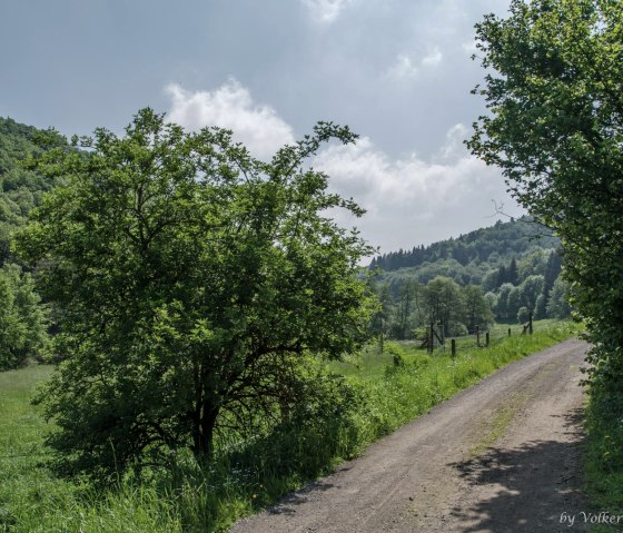 Vorbei an grünen Wiesen auf breiten Feldwegen, © Volker Windheuser Vorbei an grünen Wiesen auf breiten Feldwegen, © Volker Windheuser