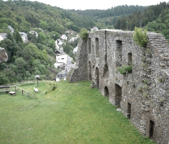 Virneburg_1106_015 Virneburg_1106_015