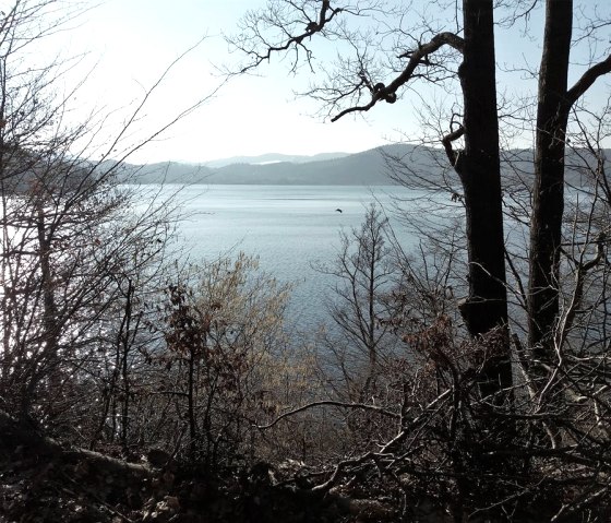 Winterspaziergang um den Laacher See Winterspaziergang um den Laacher See