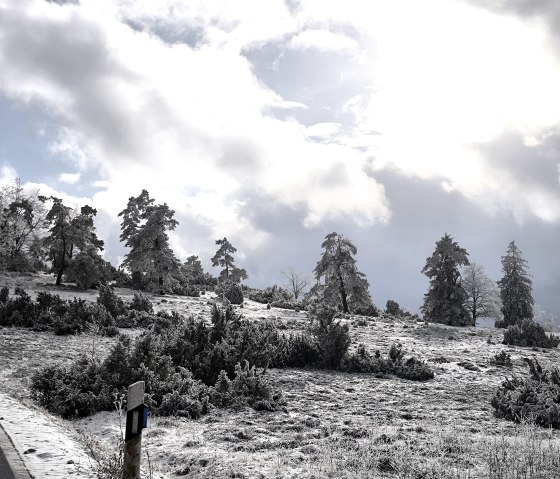 Umgebung im Winter Umgebung im Winter