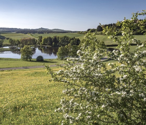 Blühender Baum im Vordergrund, gelbe Blumenwiese, ruhiger See und grüne Hügel im Hintergrund unter klarem blauen Himmel., © Kappest, REMET Blühender Baum im Vordergrund, gelbe Blumenwiese, ruhiger See und grüne Hügel im Hintergrund unter klarem blauen Himmel., © Kappest, REMET