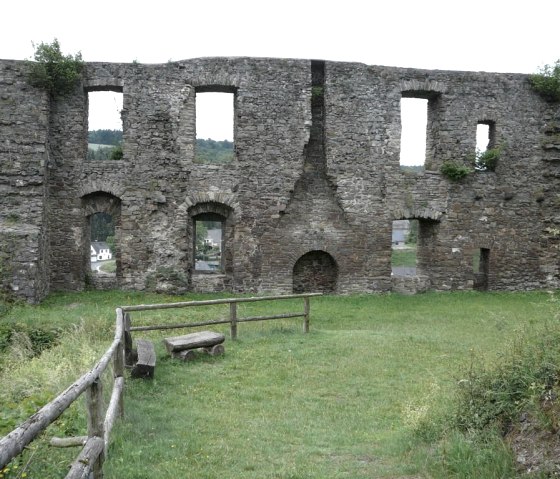 Virneburg_1106_016 Virneburg_1106_016