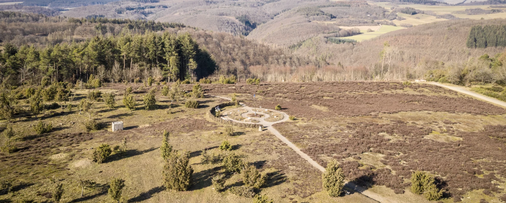 Juniper dream trail, © Eifel Tourismus GmbH, Dominik Ketz Juniper dream trail, © Eifel Tourismus GmbH, Dominik Ketz