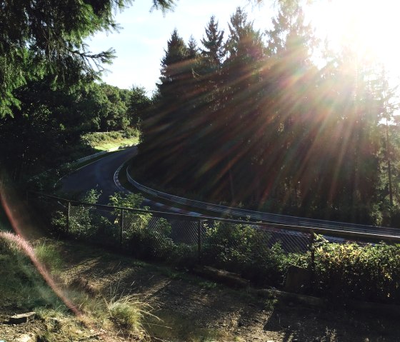 Sonnenstrahlen durchleuchten Bäume an einer Kurve der Nordschleife. Die Strecke ist von einem Zaun und üppiger Vegetation umgeben., © Sebastian_Schulte, Tourist-Information Hocheifel-Nürburgring Sonnenstrahlen durchleuchten Bäume an einer Kurve der Nordschleife. Die Strecke ist von einem Zaun und üppiger Vegetation umgeben., © Sebastian_Schulte, Tourist-Information Hocheifel-Nürburgring